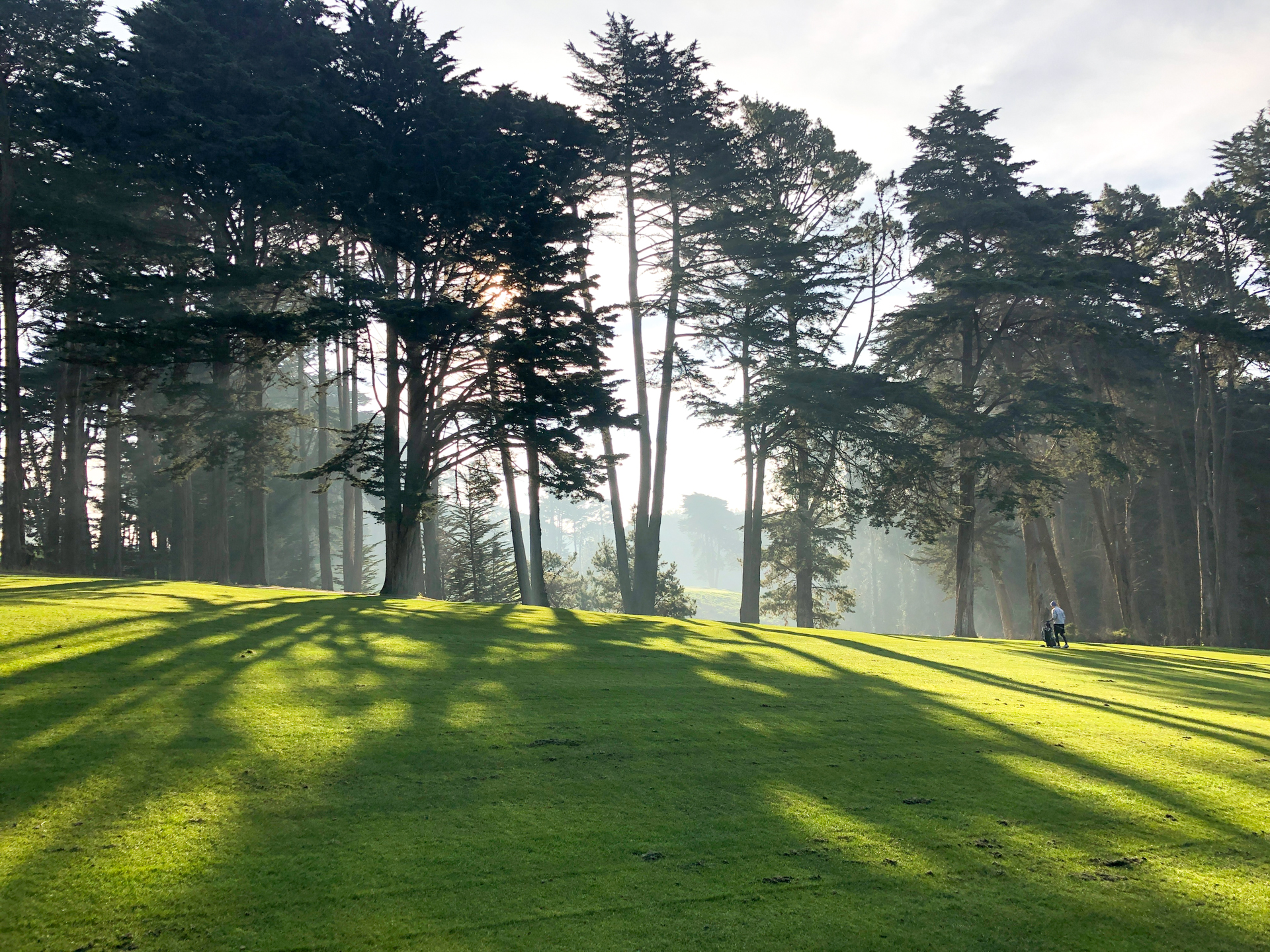 golf_07